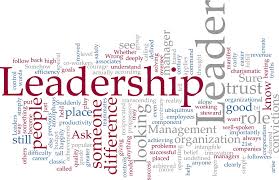  A Universal Model of Leadership