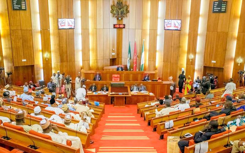  The Illusion of Nigeria’s NASS: Who Sent Them?