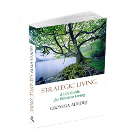  Strategic Living: A Life Guide for Effective Living by Gboyega Adedeji