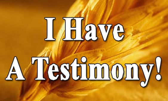  WHAT IS YOUR TESTIMONY?