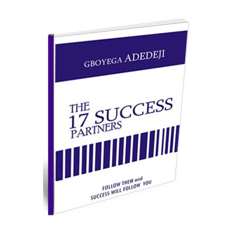  The 17 Success Partners by Gboyega Adedeji